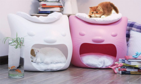 Kitty Meow Creative Cat Bed