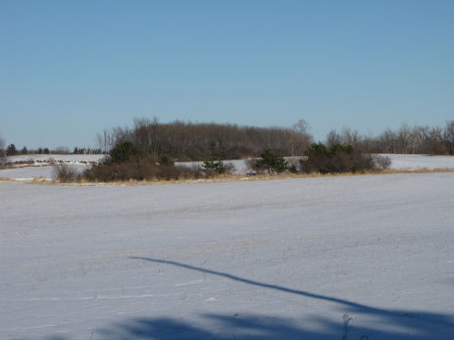 small wetland