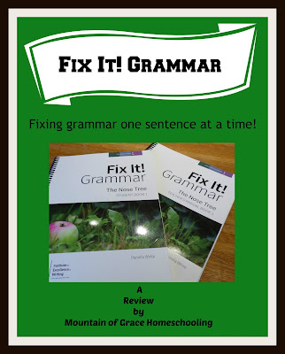 IEW Review~ Fix It! Grammar