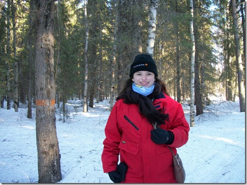 Passeio na floresta coberta de neve