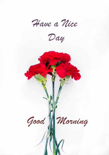 Latest Best Good Morning Wishes.