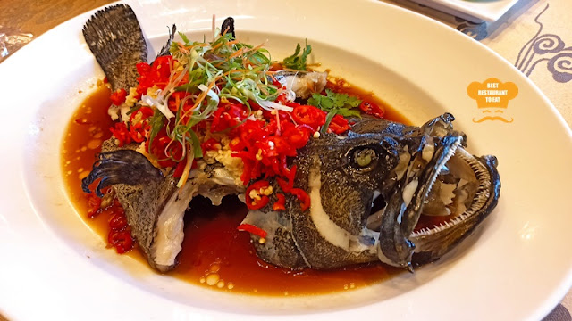 Summer Palace Chinese Restaurant CNY 2023 Menu - Steamed Dragon Tiger Grouper with Chili Pickle Sauce