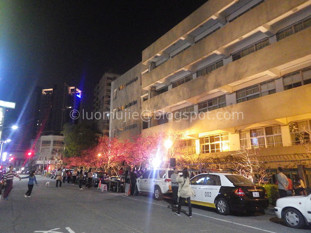 Taichung cherry blossoms