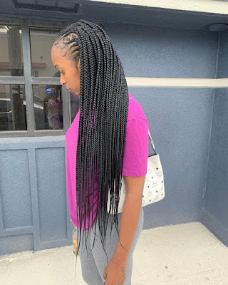 33 Fulani Tribal Braids Ponytail Hairstyles for Black Hair In Style 2019