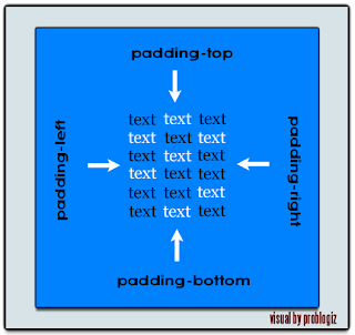 visual definisi padding