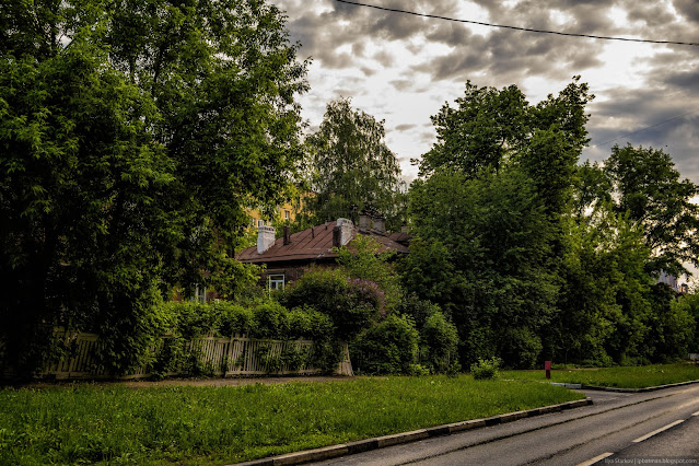 Деревянный дом у улицы в густых зарослях