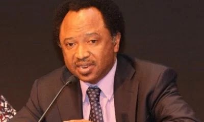 2019: Shehu Sani is the PRP senatorial candidate PRP