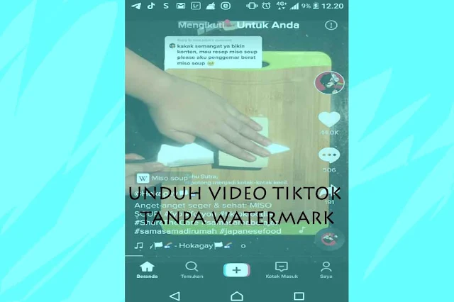 Aplikasi Buat Unduh Video Tiktok Tanpa Watermark