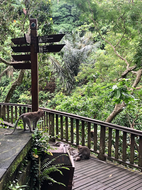 The Monkey Forest, Ubud, Bali, Indonesia