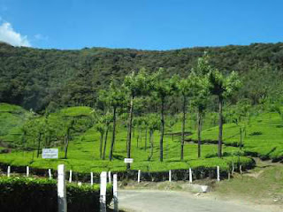 Mussoorie Holiday Tours