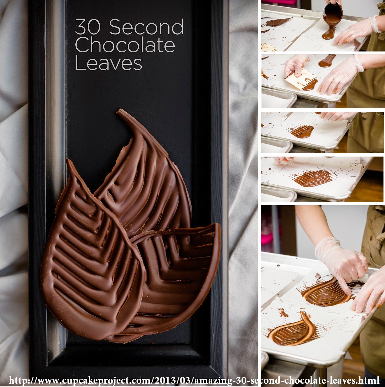 http://www.cupcakeproject.com/2013/03/amazing-30-second-chocolate-leaves.html