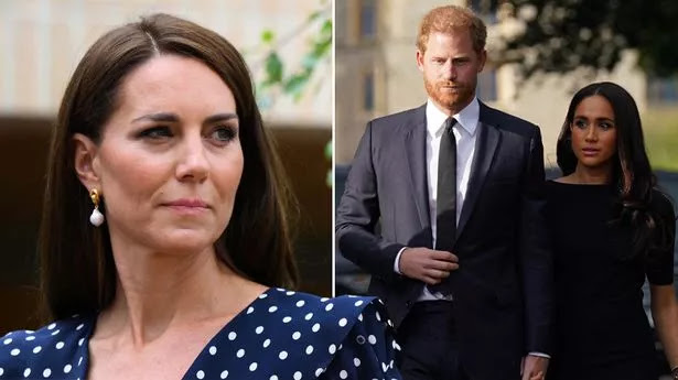 Meghan and Harry Criticized for Silence Amid Attacks on Princess Kate