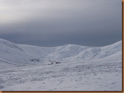 Watsons Dodd
