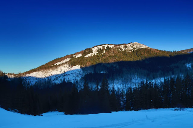 Polana Olczyska oferuje widoki przede wszystkim na Kopieniec Wielki (1328 m n.p.m.)