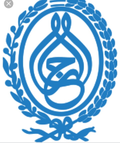  رئاسة الجمهورية والأزمة داخل السلطة التنفيذية في تونس