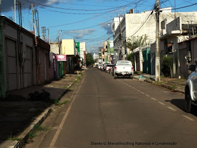 Parauapebas, arborização urbana de Parauapebas, arborização urbana, plano de arborização de Parauapebas, Pará, Parauapebas tem arborização deficitária, efeitos da arborização na saúde, como arborizar uma rua, como plantar árvore na calçada, arborização de calçadas, Parauapebas Pará, Sociedade Brasileira de arborização urbana, índice de arborização urbana, bairros de parauapebas