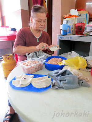 Shrimp-Dumplings