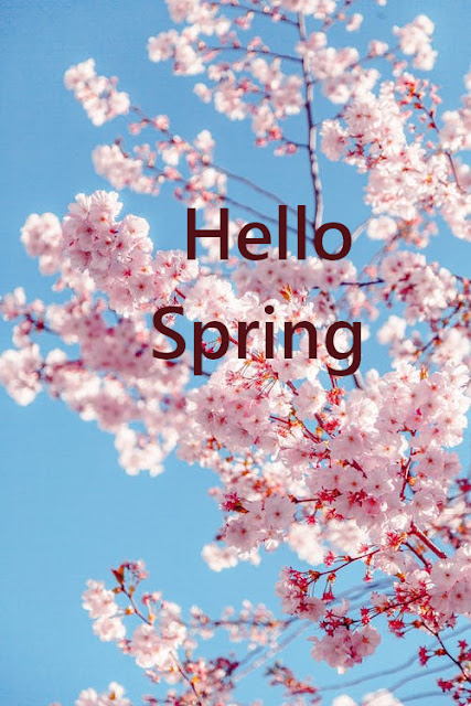 Hello Spring