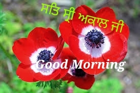 Sat Shri Akal Ji  Good Morning