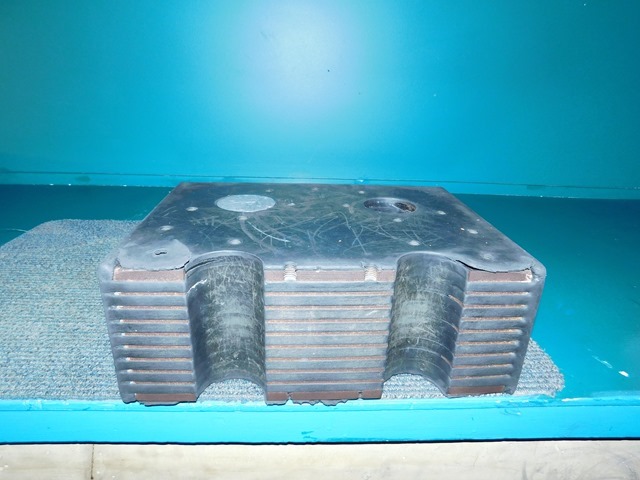 DSCN8685