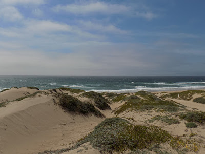 Trail Ends At The Pacific Ocean