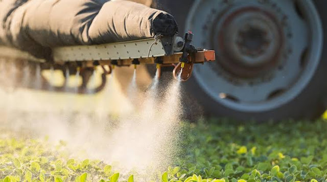 Ambas as empresas pertencem a sojeiros brasileiros. Porém, elas não tinham licença ambiental para plantar soja ou pulverizar os agroquímicos que se dispersavam com aeronaves leves, cujos tanques eram lavados em um riacho próximo. “Nenhuma delas cumpria com as mínimas normas ambientais”, afirmou na ocasião o engenheiro Ulises Lovera, diretor da Direção Geral de Controle de Recursos Naturais e Qualidade Ambiental, do Ministério de Ambiente e Desenvolvimento Sustentável (Mades).