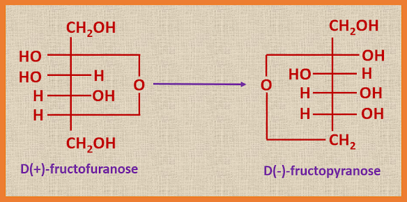 fructofuranose fructopyranose