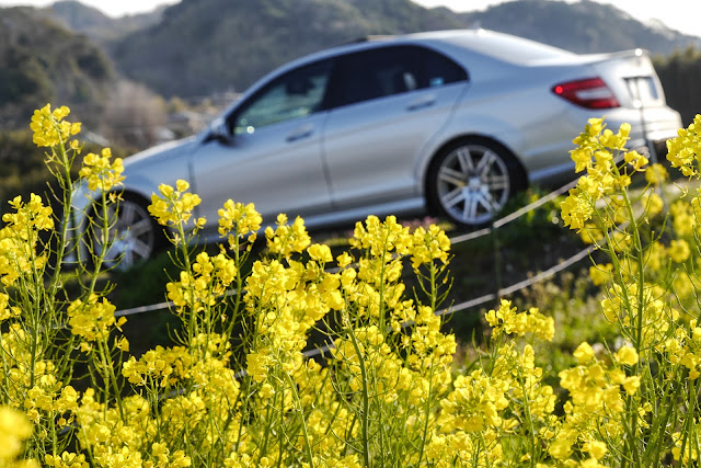 C63AMG