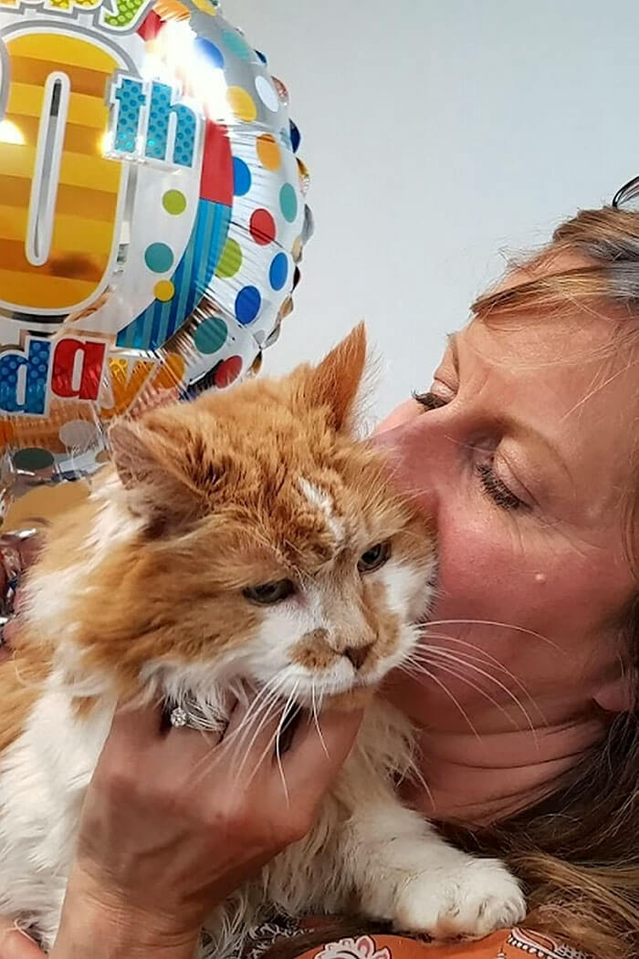 Touching Pictures Of Cat Celebrating His 30th Birthday