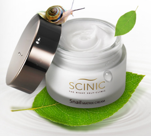 Scinic Snail Matrix Cream