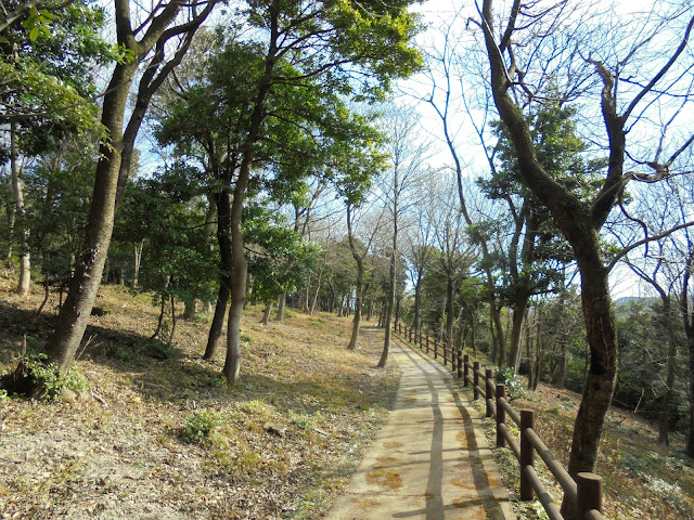 弥生の森の遊歩道