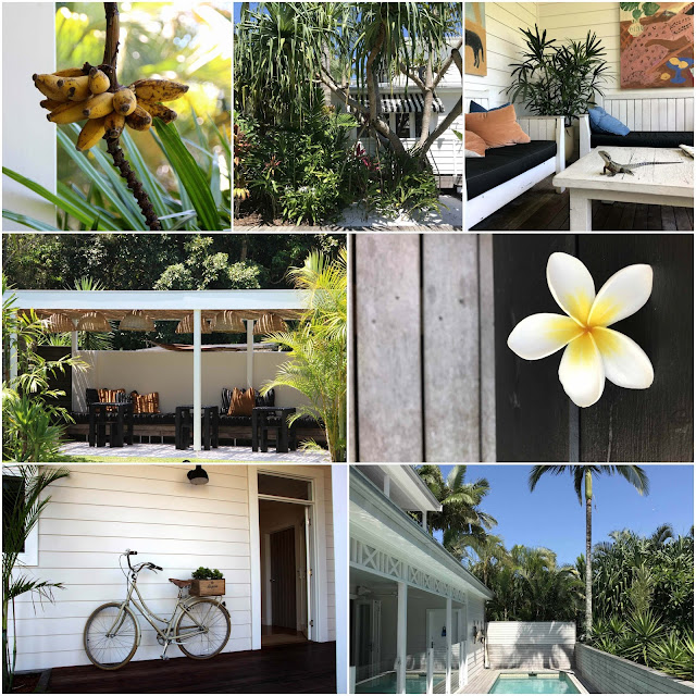 Banana tree. Palm trees. A water dragon on a table. Chairs and benches under a white pergola. A white frangipani. A bicycle in front of a white weatherboard house. A swimming pool next to the verandah of a white weatherboard house.