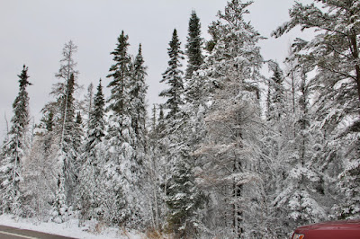 Northern Minnesota's Iron Range, late October