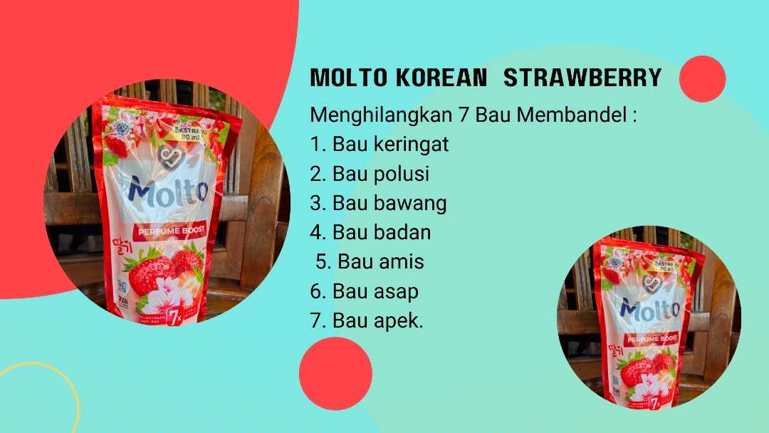 Manfaat Molto Korean strwaberry