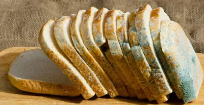 What Happens In Your Body When You Eat The "Clean" Part Of A Moldy Bread