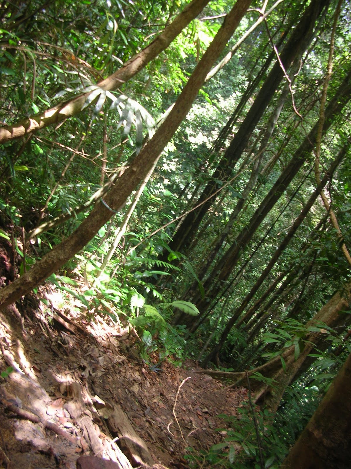 DSCN5296.JPG
