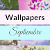 → Wallpapers de Septiembre → ＰＡＣＫ
