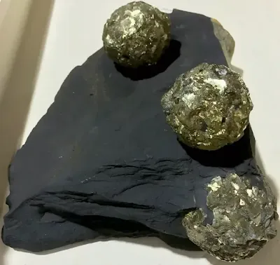 Pyrite nodules in shale