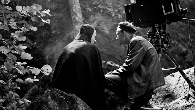 bergman a year in a life hd free download online