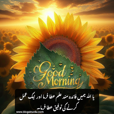 Morning Dua in Urdu