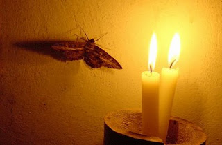 A New Series Of Enochian Rituals Image