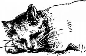 drawing of sleeping cat