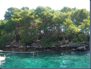 brbjini 14