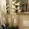 Decoration Ideas For Bathroom - 10 Creative DIY Bathroom Wall Decor Ideas : Consider it a home for your plants, photos and extra bars of soap.