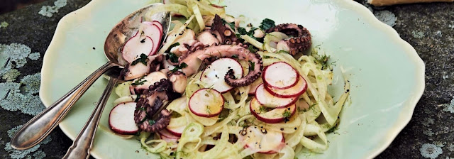 Heat octopus on a fennel salad