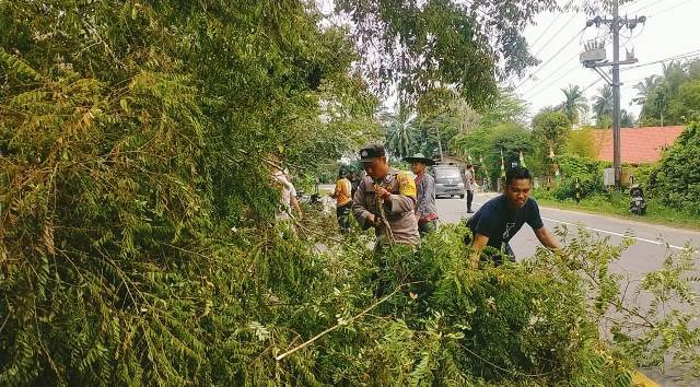 Sigap dan Tanggap, Kapolsek Peureulak Timur Bersama Anggota Bersihkan Pohon Tumbang