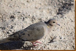 IMG_3328