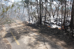 Volcano preparedness: What to know when lava starts to flow