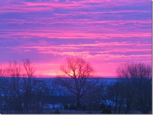 sunrise 2_20 010
