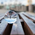 Creating a Viable Perspective | Kenneth Schmitt